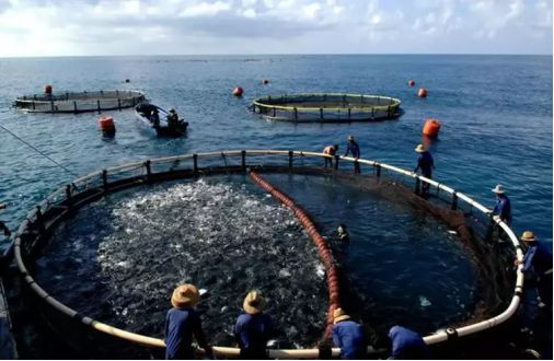 日本排核污水,后果等到了,中国如何应对