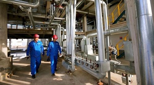 中国石油全链发力攒 底气 精准施策助 冬供