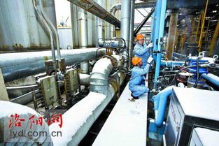 中石化洛阳分公司 雪后忙巡检 确保设备安全运行