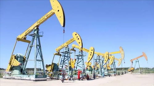 看了哈萨克9000万吨的石油年产量,再看新疆石油产量,差距太大了